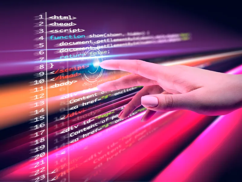 Introduction of the Basics of Postman, API (Application Programming Interface)